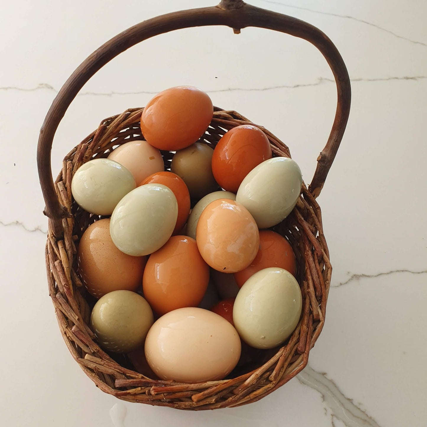 Organically Raised Free Range Farm Eggs