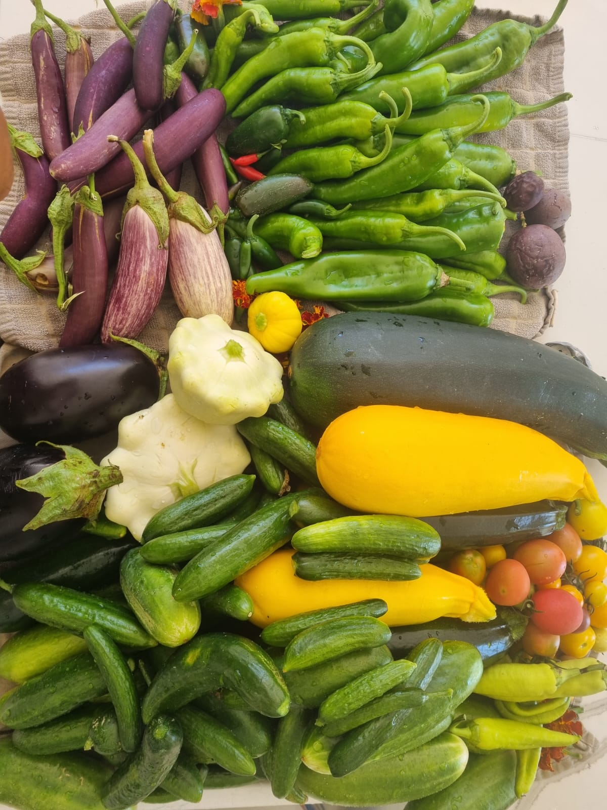 Seasonal Produce Boxes
