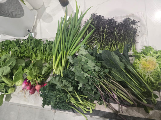 Seasonal Produce Boxes