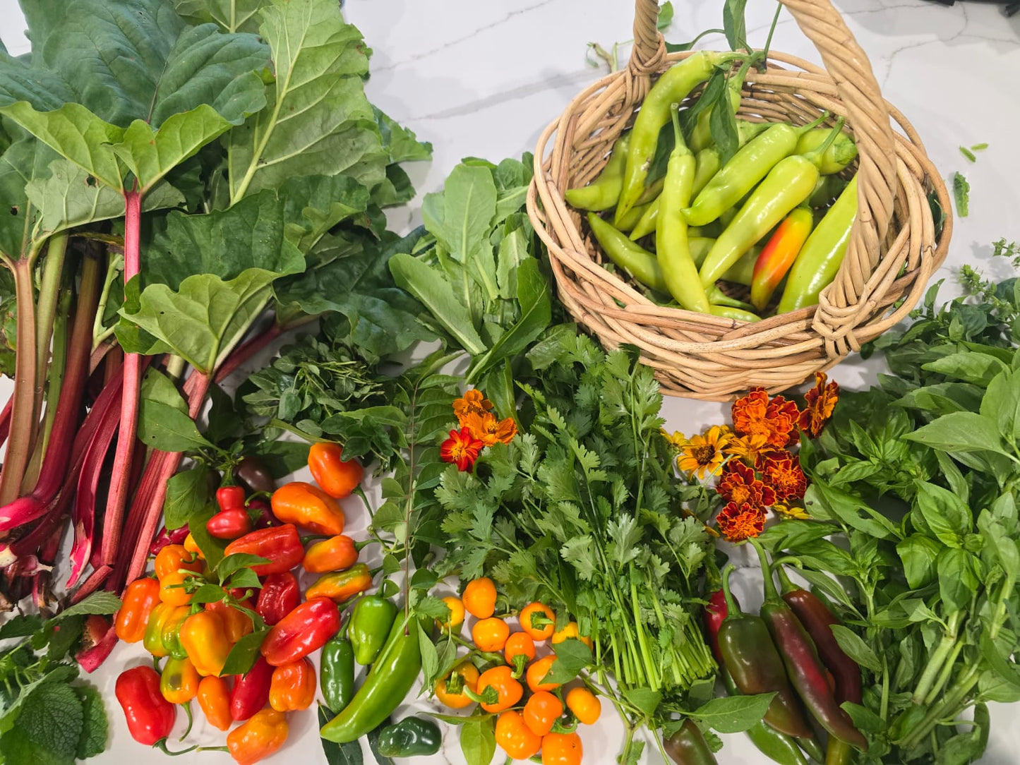 Seasonal Produce Boxes
