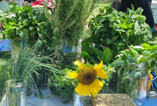 Organically Grown Herb Bundle
