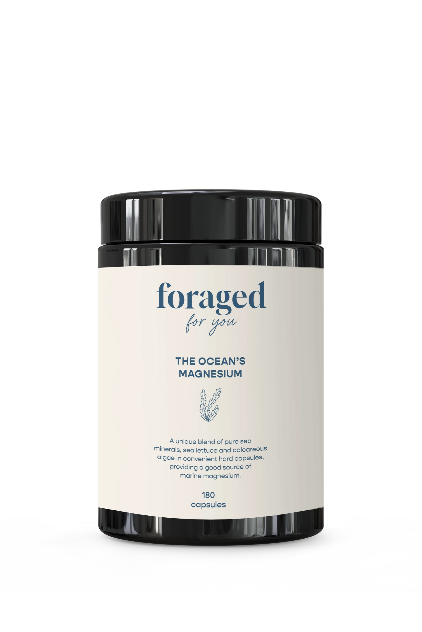 Foraged - The Ocean's Magnesium